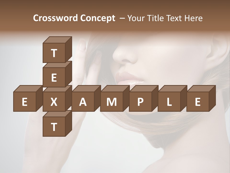 Hair Care L Oreal PowerPoint Template