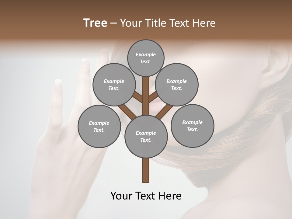 Hair Care L Oreal PowerPoint Template