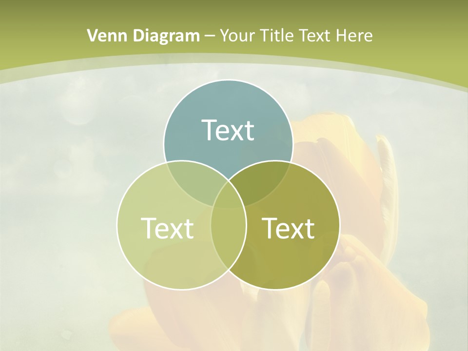 Dirt Grunge Wallpaper PowerPoint Template