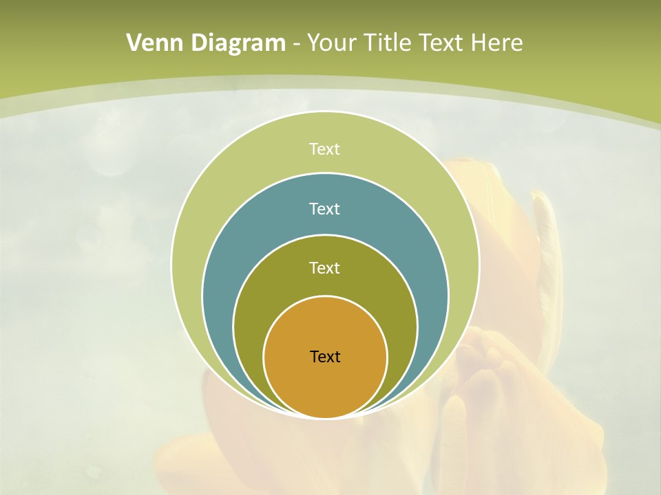 Dirt Grunge Wallpaper PowerPoint Template