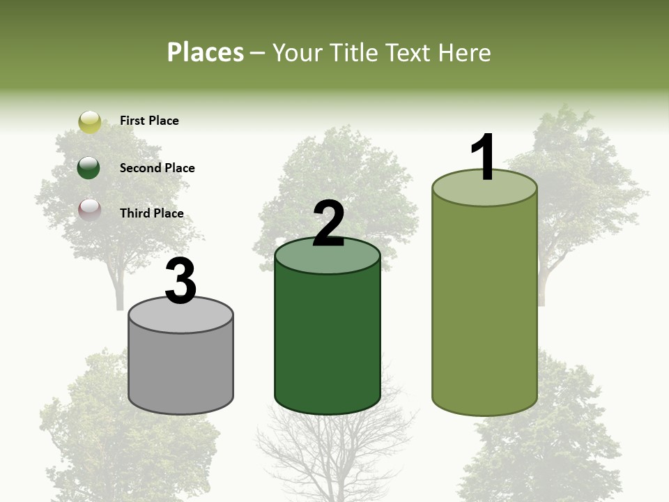 Trees With White Background PowerPoint Template