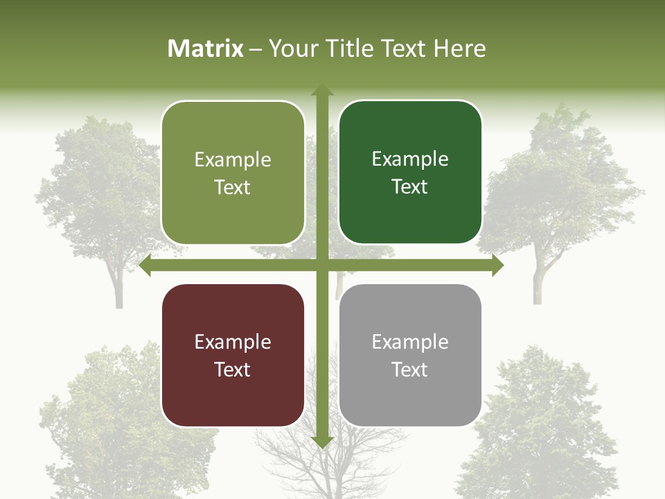 Trees With White Background PowerPoint Template