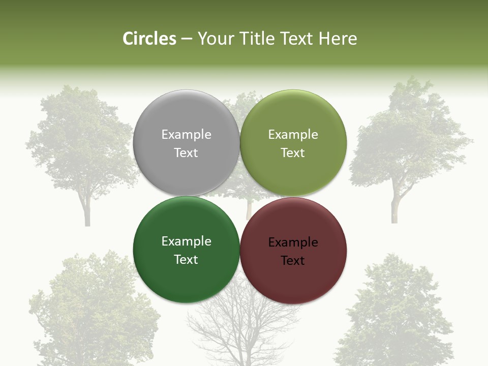 Trees With White Background PowerPoint Template