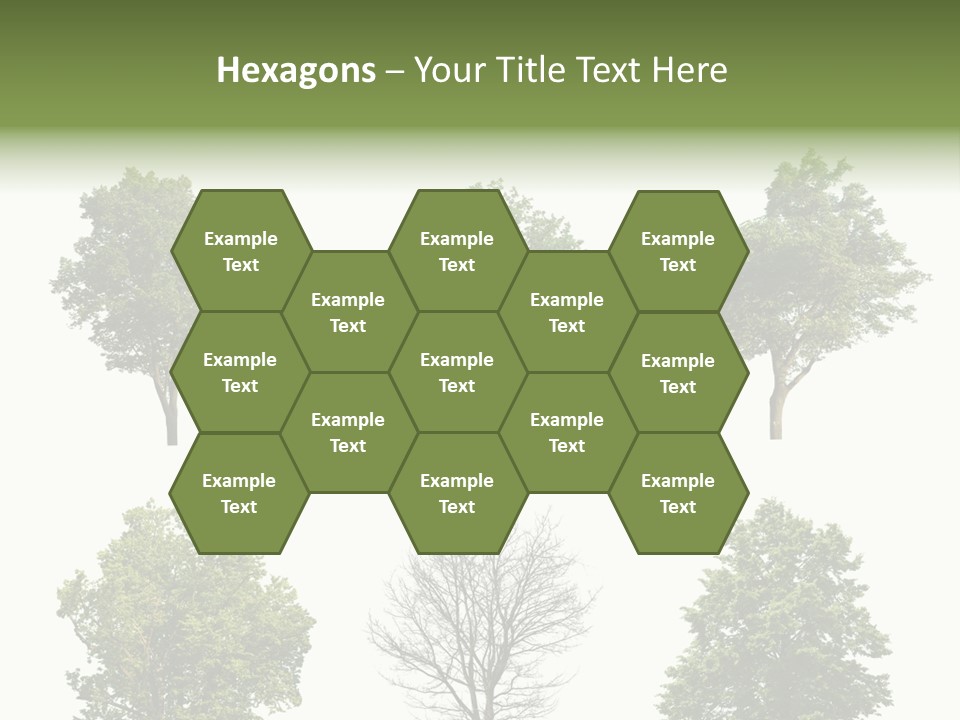 Trees With White Background PowerPoint Template