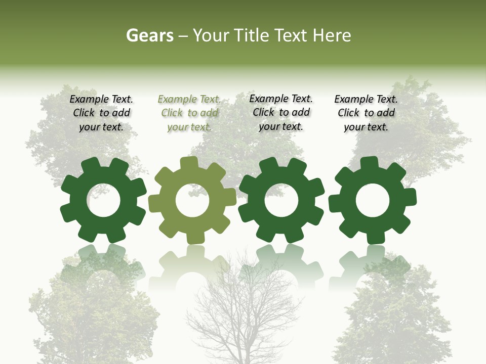 Trees With White Background PowerPoint Template