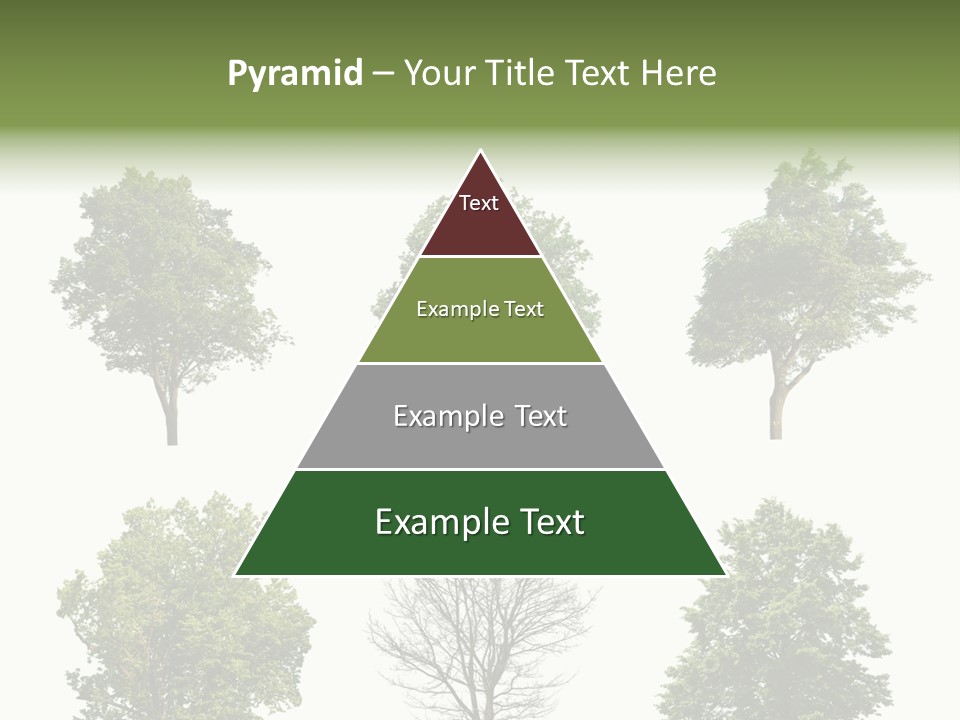 Trees With White Background PowerPoint Template