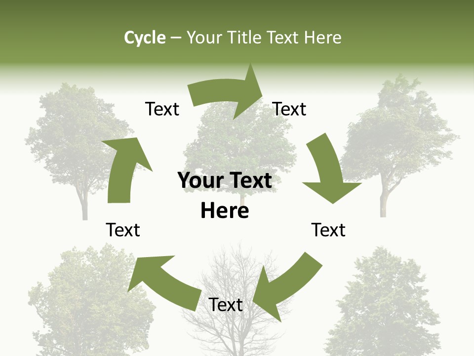 Trees With White Background PowerPoint Template