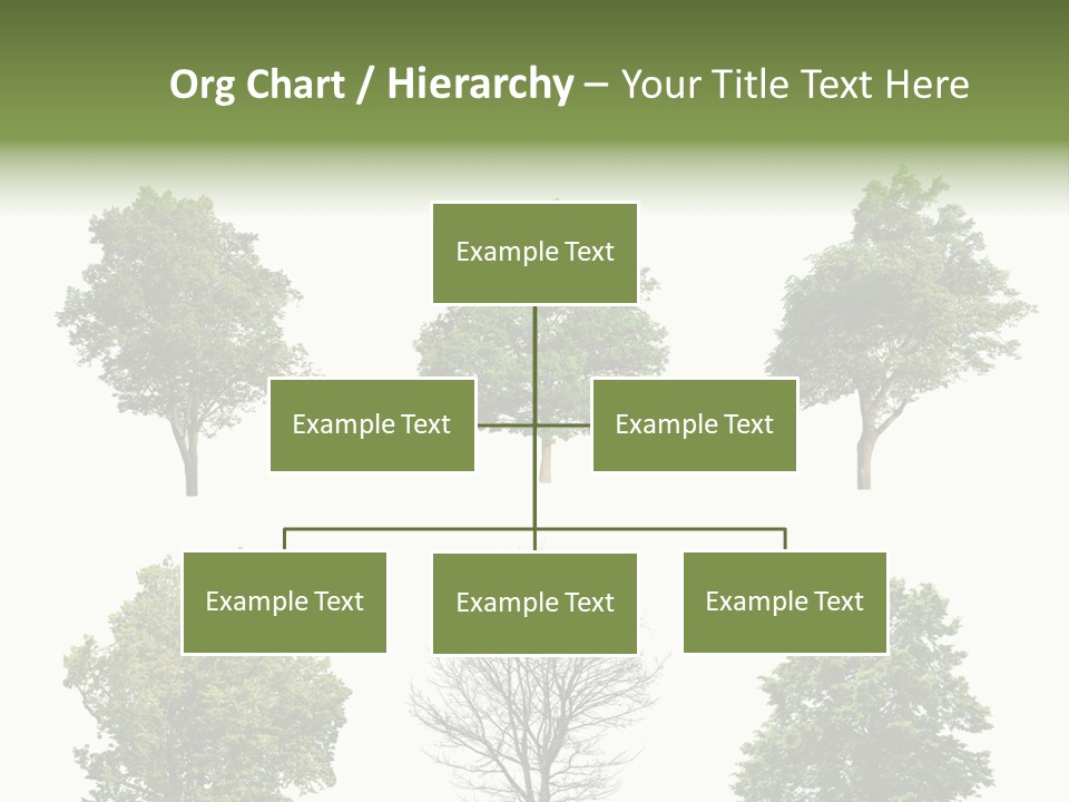 Trees With White Background PowerPoint Template