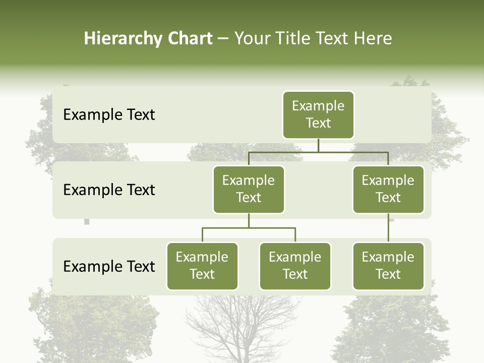 Trees With White Background PowerPoint Template