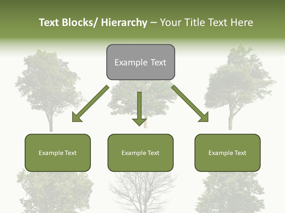 Trees With White Background PowerPoint Template