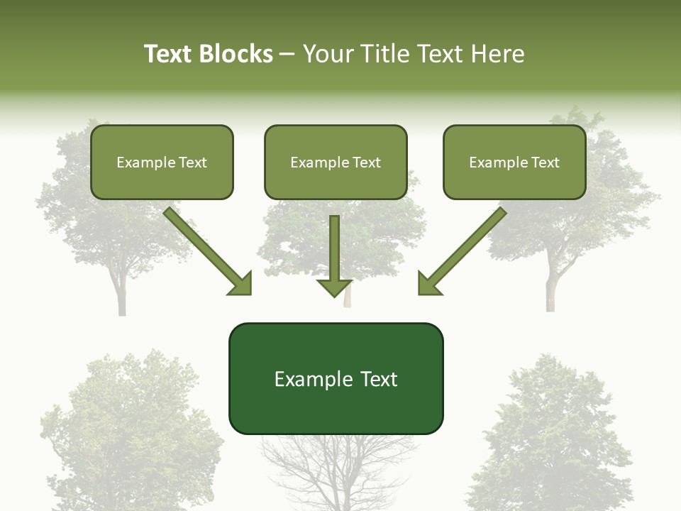 Trees With White Background PowerPoint Template