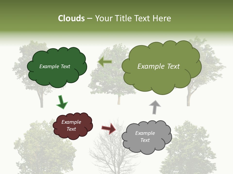Trees With White Background PowerPoint Template