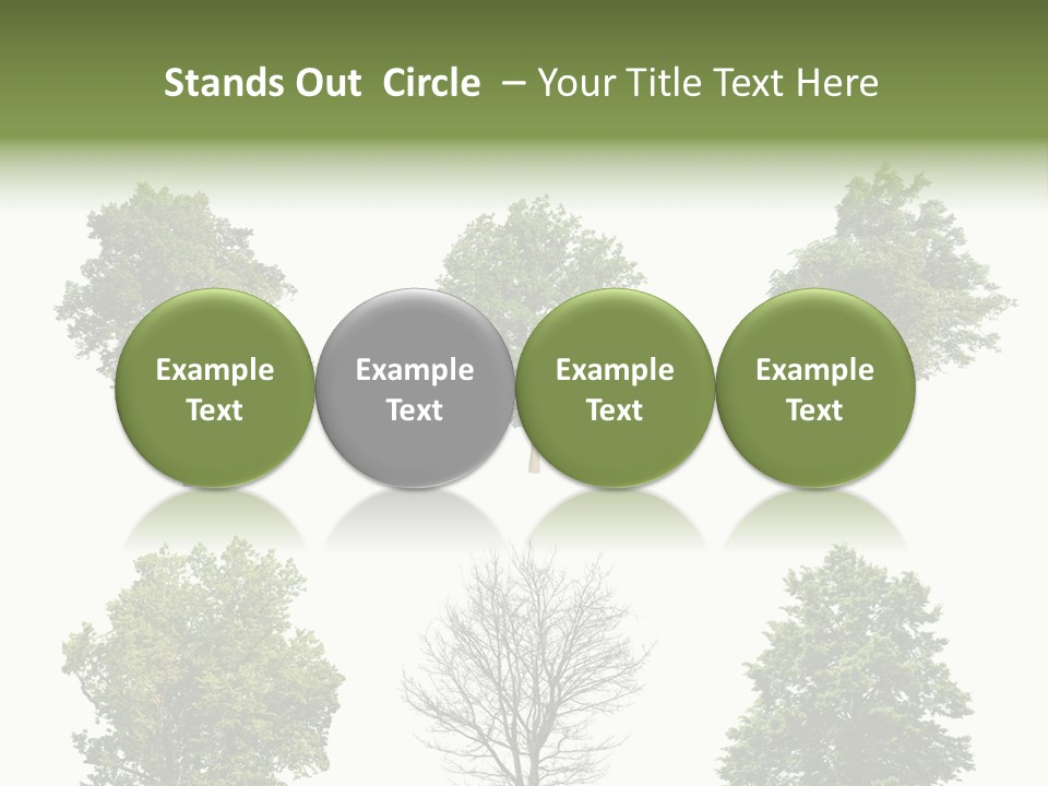 Trees With White Background PowerPoint Template