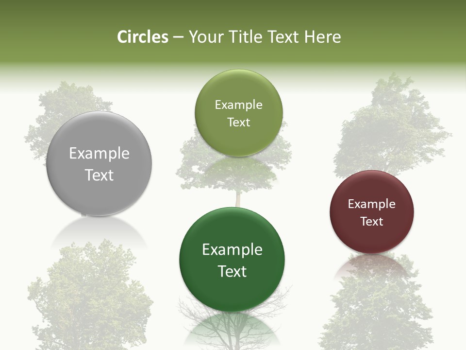 Trees With White Background PowerPoint Template