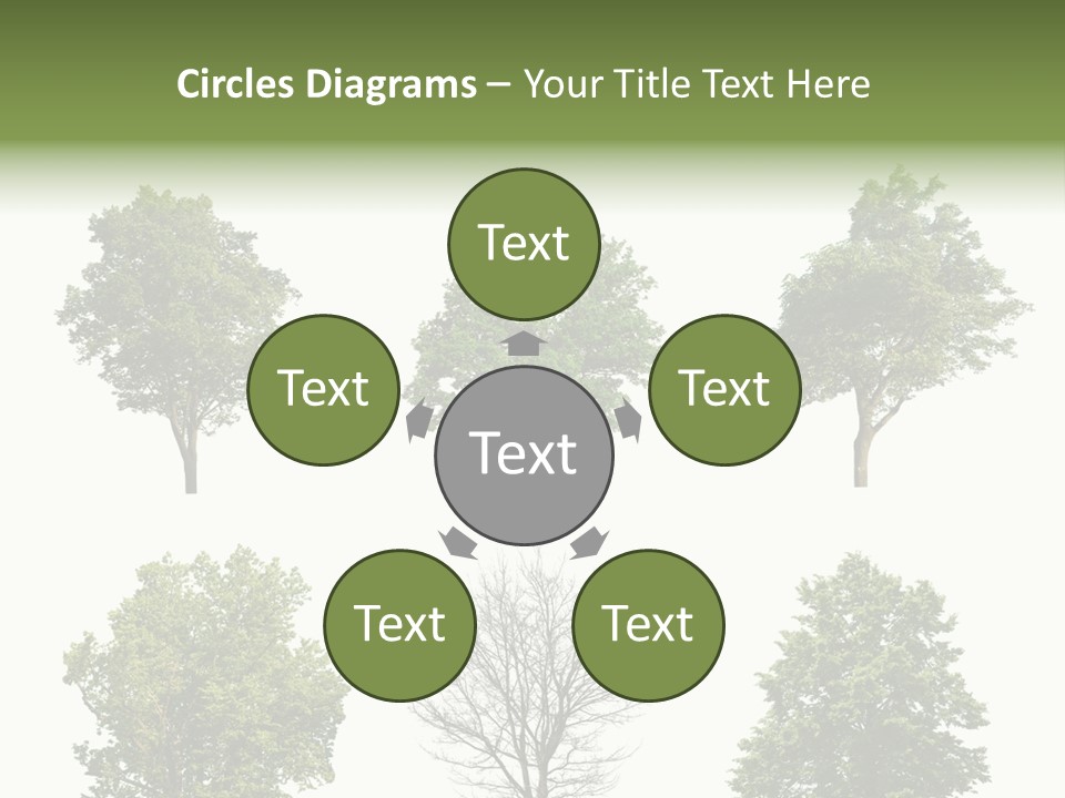 Trees With White Background PowerPoint Template