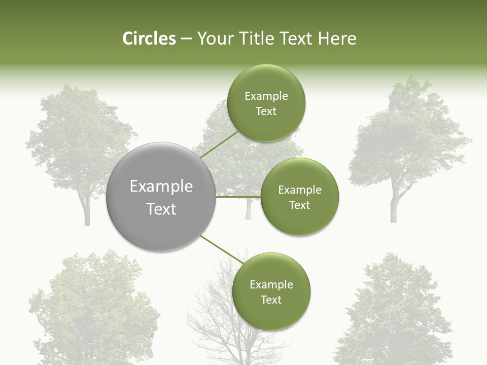 Trees With White Background PowerPoint Template