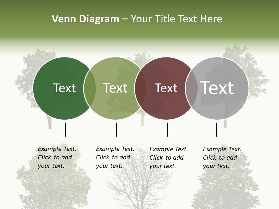 Trees With White Background PowerPoint Template
