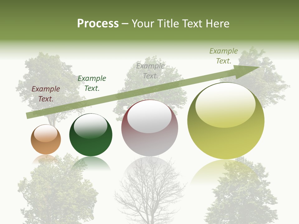 Trees With White Background PowerPoint Template