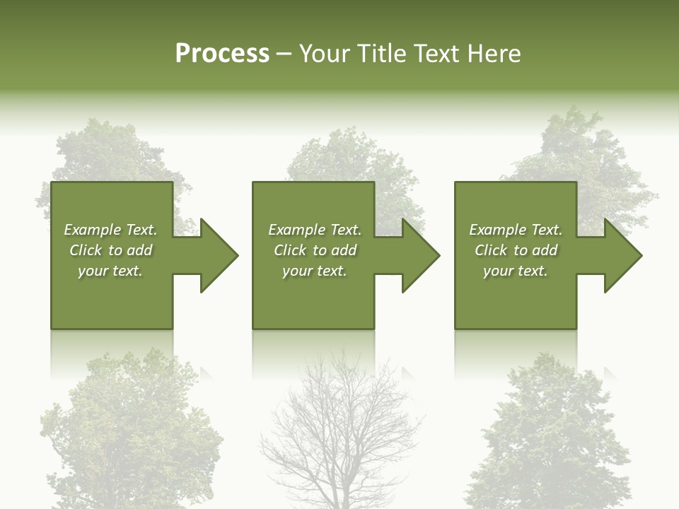 Trees With White Background PowerPoint Template