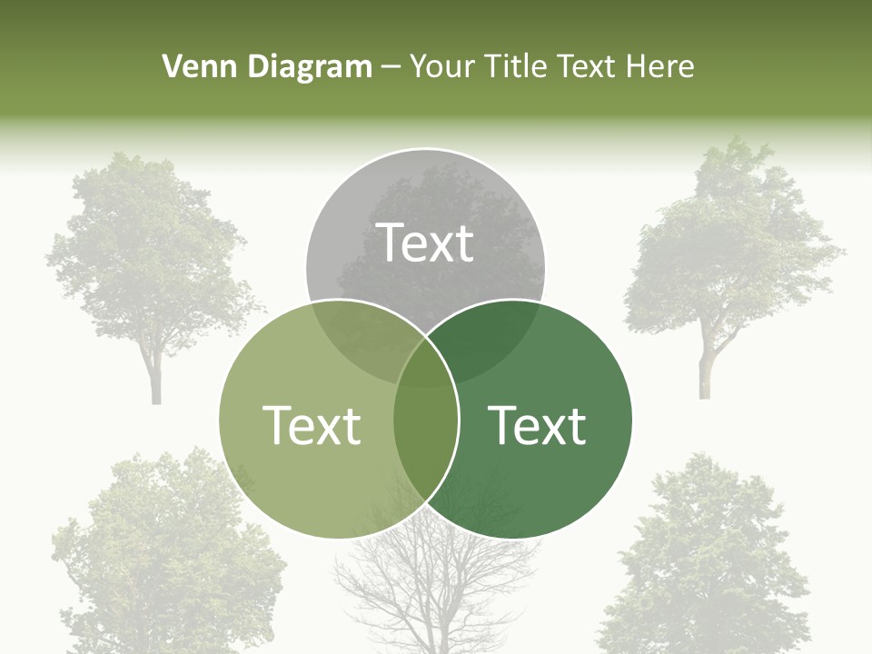 Trees With White Background PowerPoint Template
