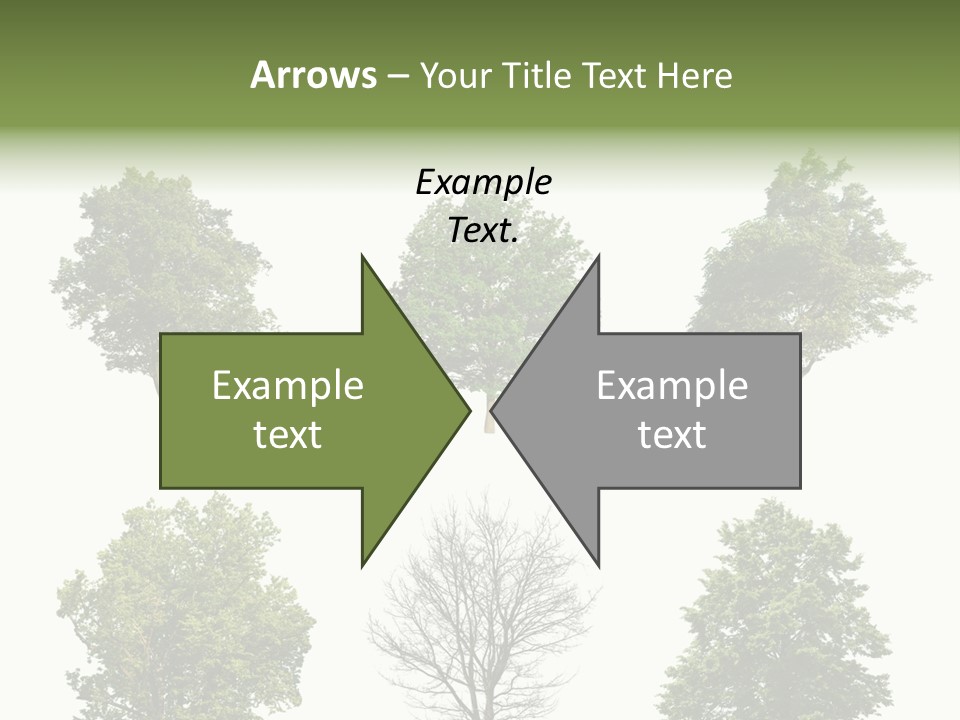 Trees With White Background PowerPoint Template