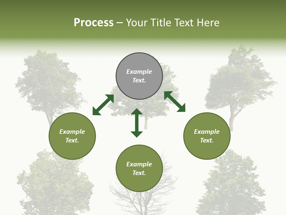 Trees With White Background PowerPoint Template