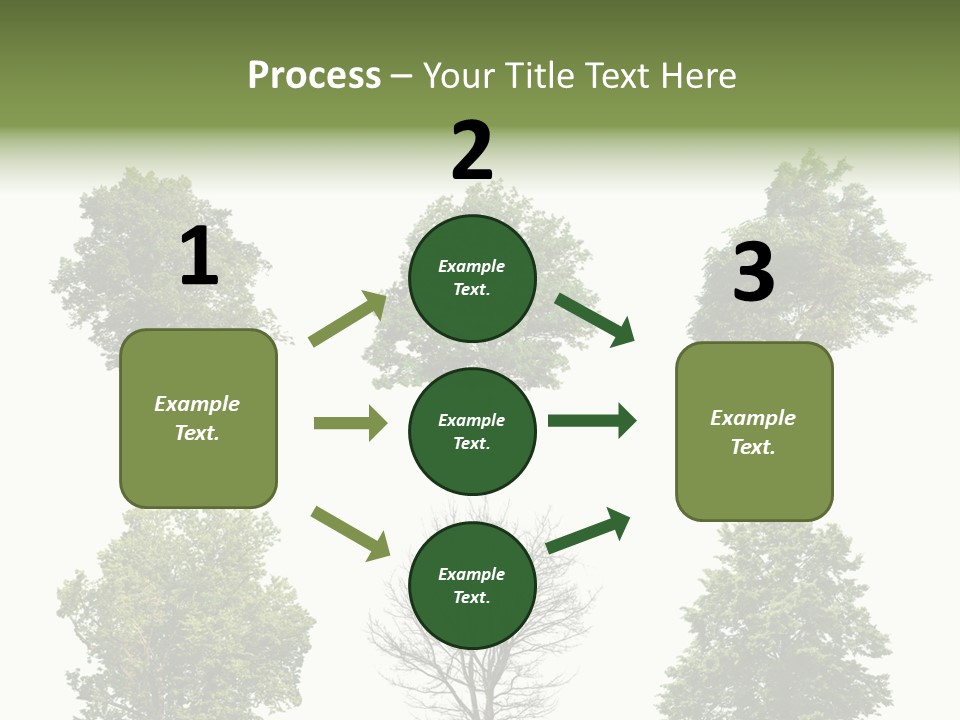 Trees With White Background PowerPoint Template