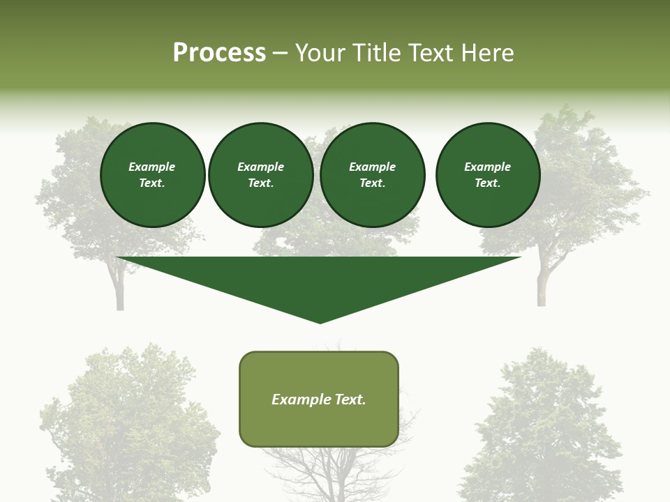 Trees With White Background PowerPoint Template