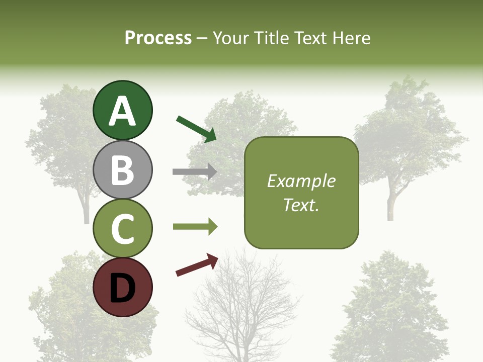 Trees With White Background PowerPoint Template