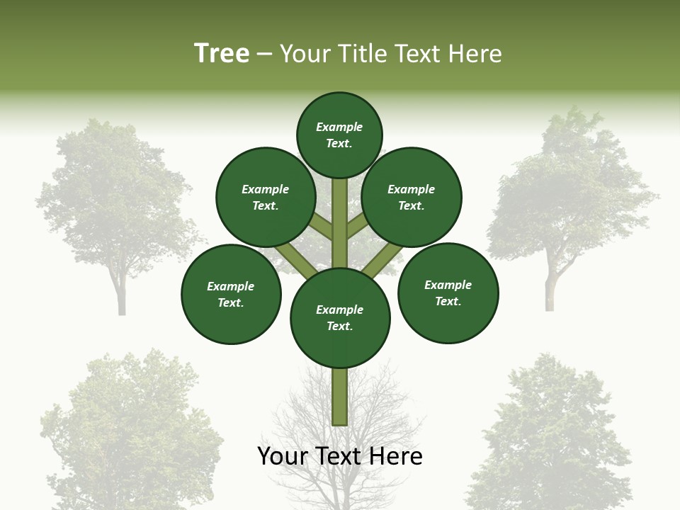 Trees With White Background PowerPoint Template