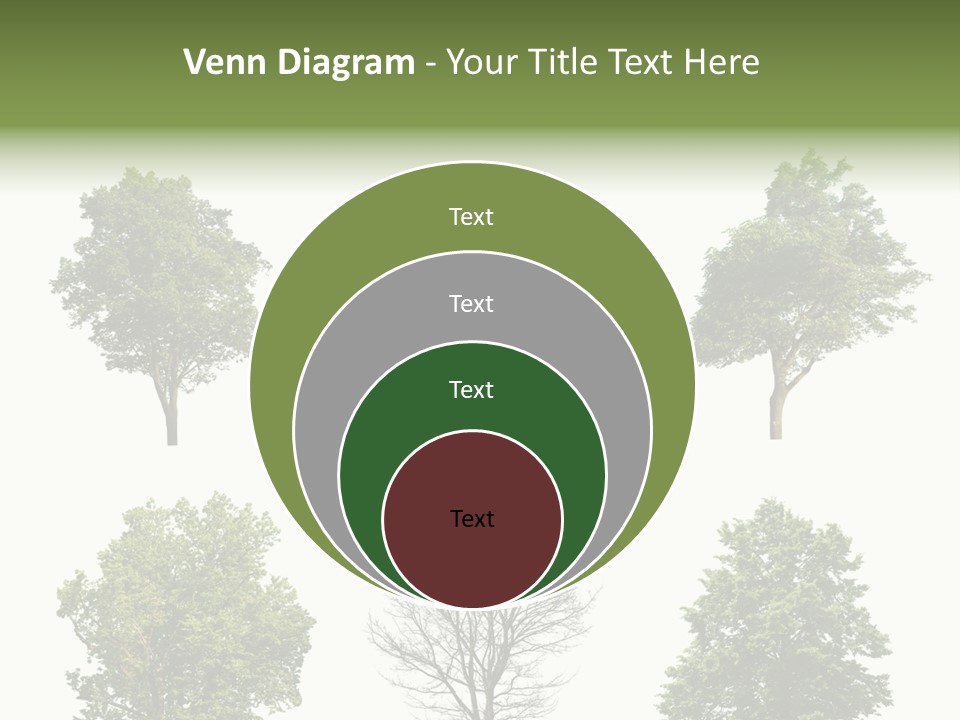 Trees With White Background PowerPoint Template