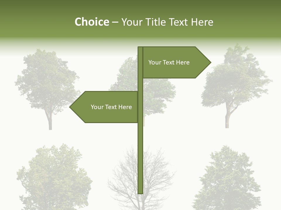 Trees With White Background PowerPoint Template