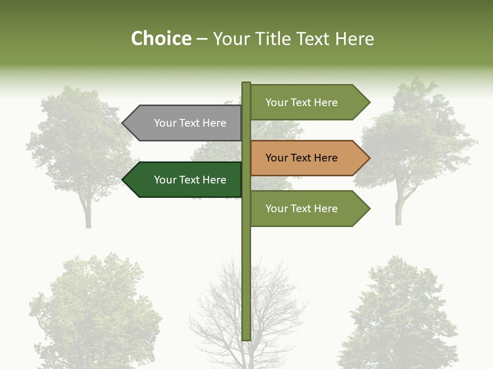 Trees With White Background PowerPoint Template