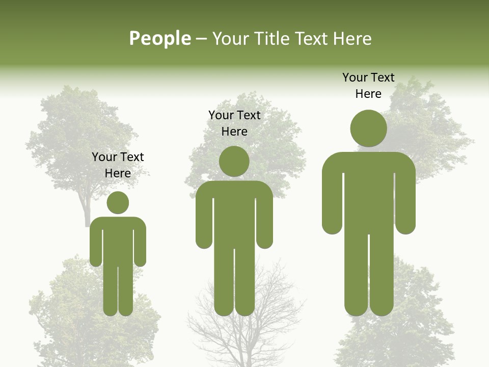 Trees With White Background PowerPoint Template