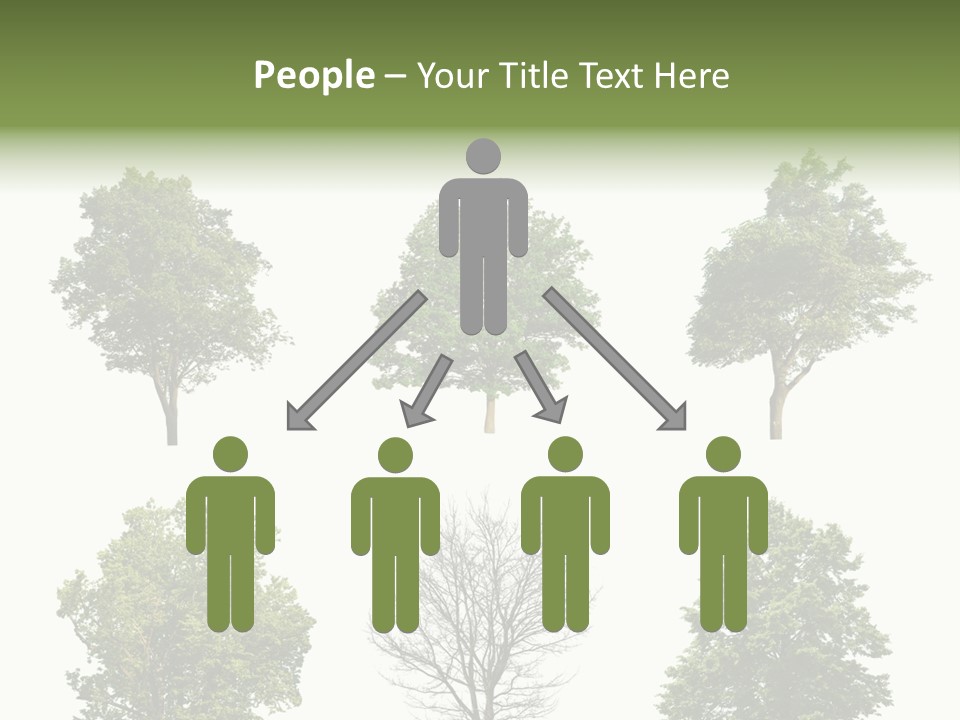 Trees With White Background PowerPoint Template