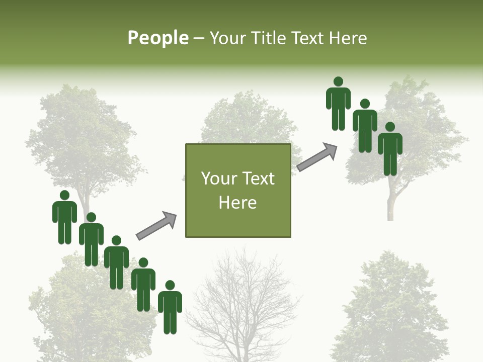 Trees With White Background PowerPoint Template