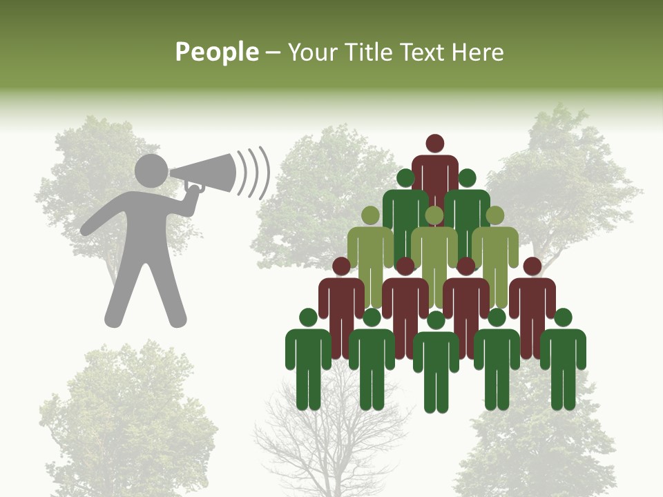 Trees With White Background PowerPoint Template