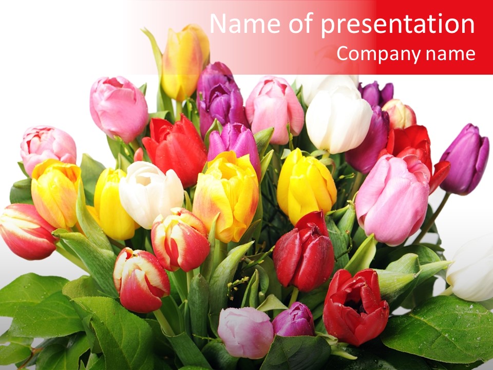 Flowers Tulip Bouquet PowerPoint Template