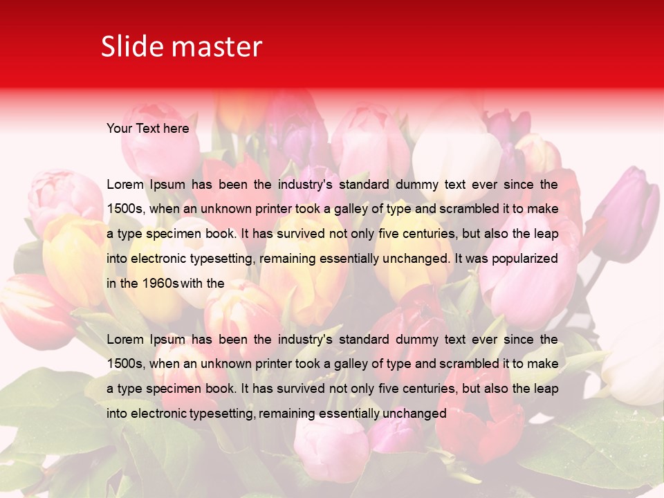 Flowers Tulip Bouquet PowerPoint Template