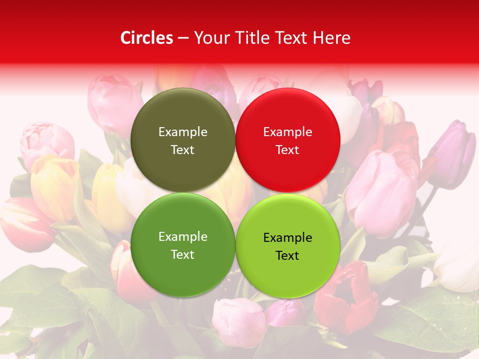 Flowers Tulip Bouquet PowerPoint Template