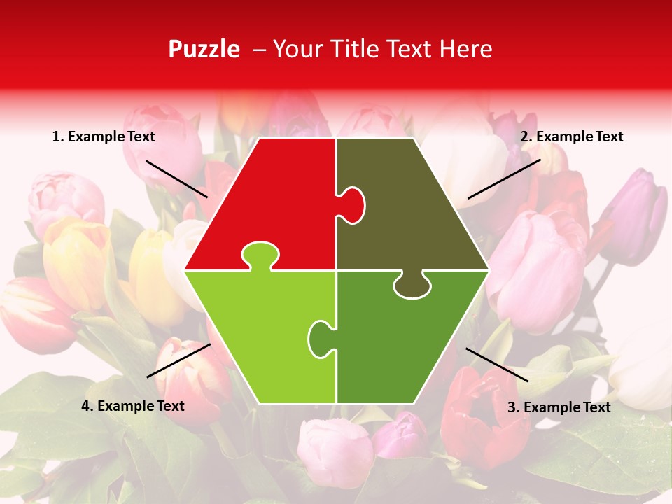 Flowers Tulip Bouquet PowerPoint Template