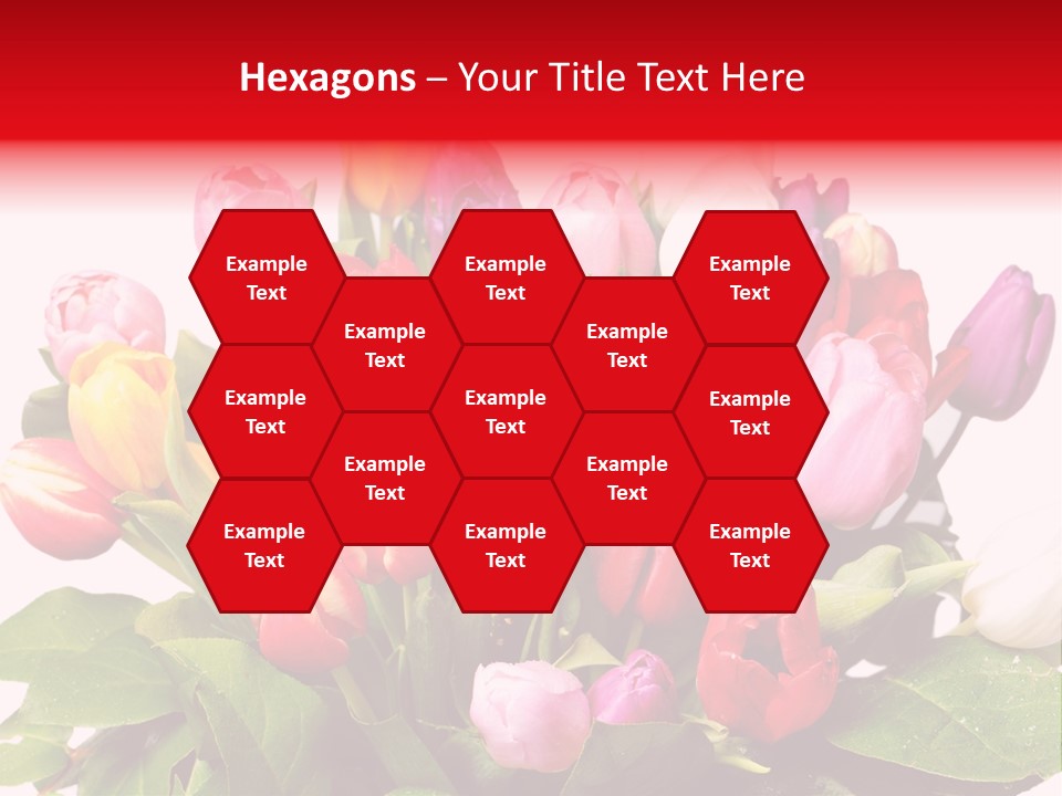 Flowers Tulip Bouquet PowerPoint Template