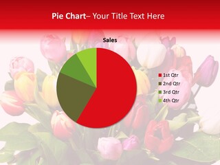 Flowers Tulip Bouquet PowerPoint Template