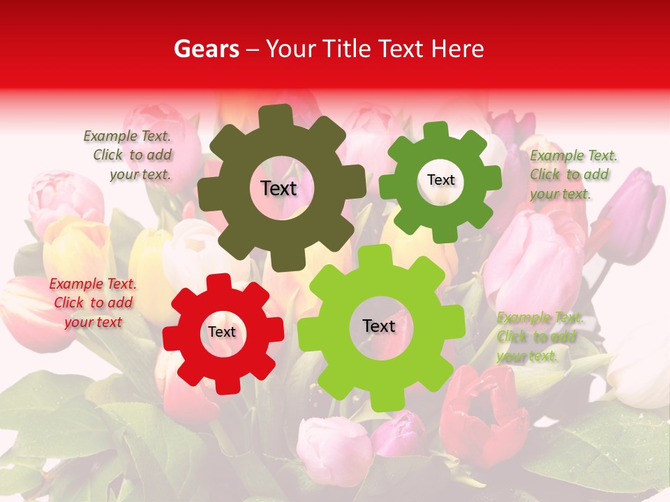 Flowers Tulip Bouquet PowerPoint Template