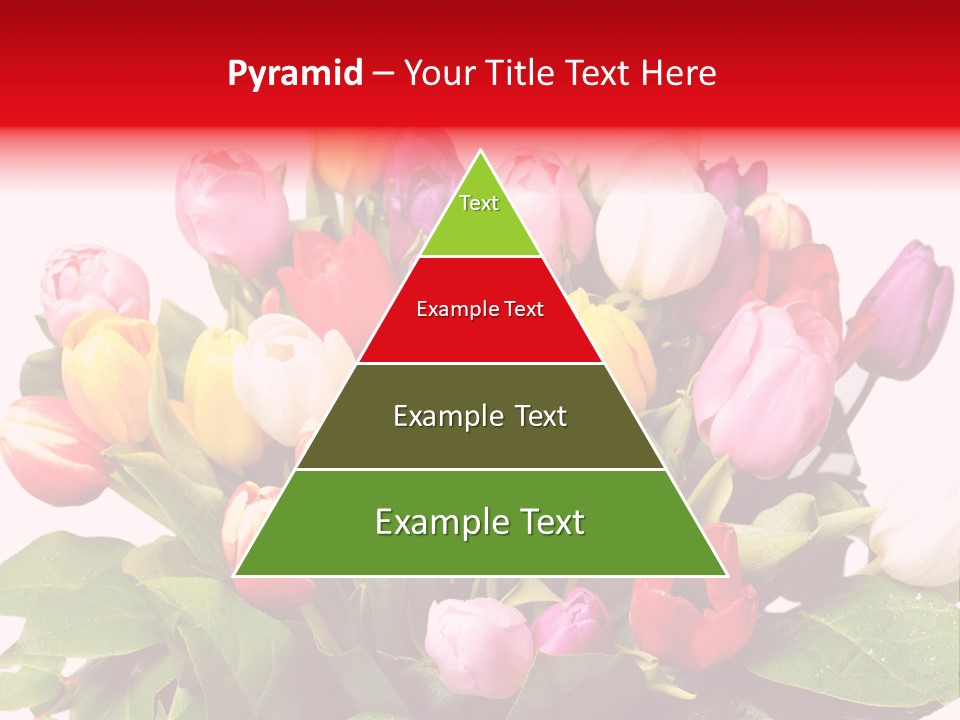 Flowers Tulip Bouquet PowerPoint Template