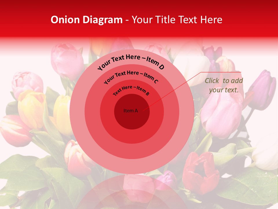 Flowers Tulip Bouquet PowerPoint Template