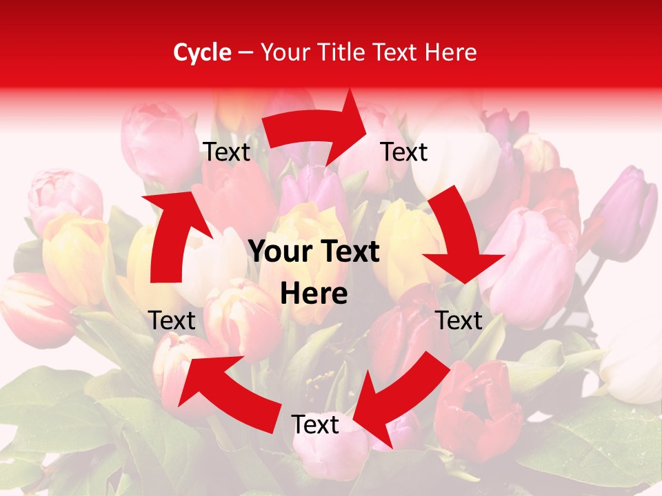 Flowers Tulip Bouquet PowerPoint Template