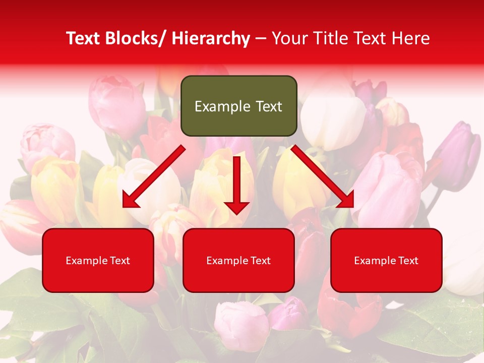 Flowers Tulip Bouquet PowerPoint Template