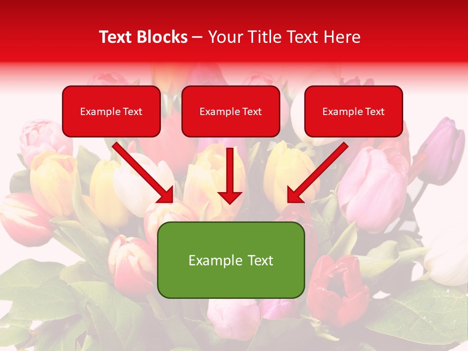 Flowers Tulip Bouquet PowerPoint Template