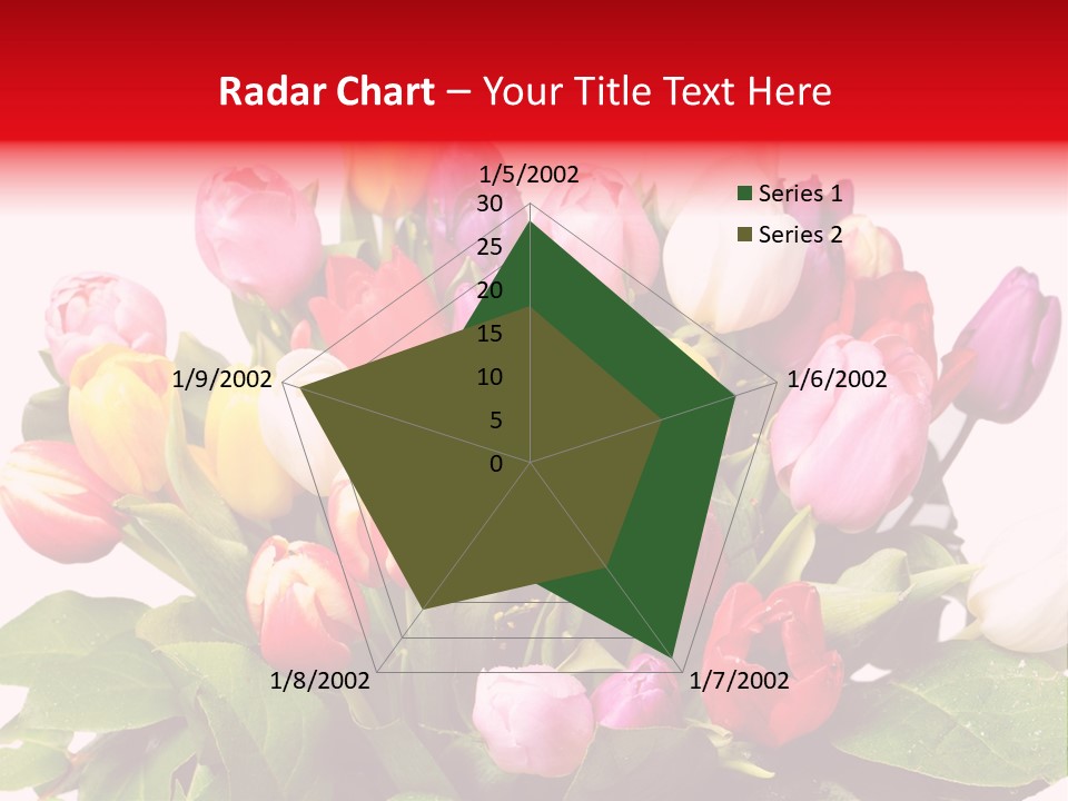 Flowers Tulip Bouquet PowerPoint Template